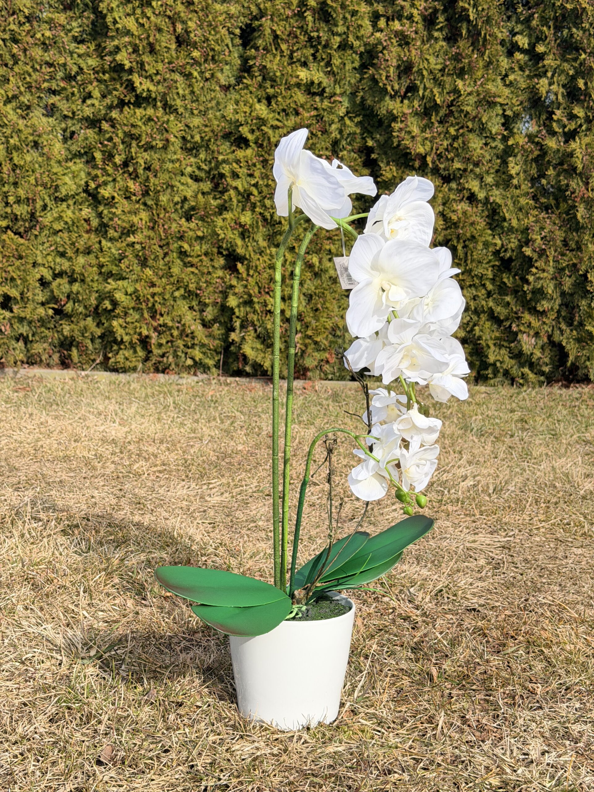 Elegancki storczyk dekoracyjny – jak żywy, 67 cm - obrazek 3
