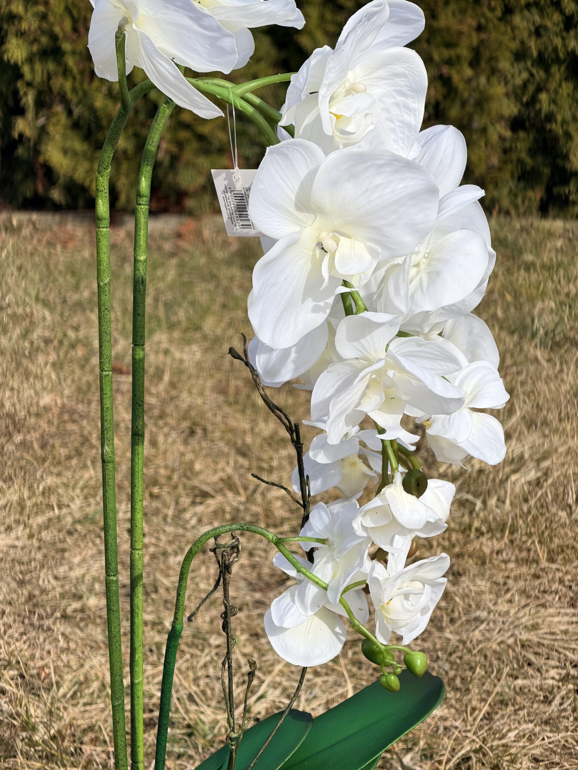 Elegancki storczyk dekoracyjny – jak żywy, 67 cm - obrazek 4