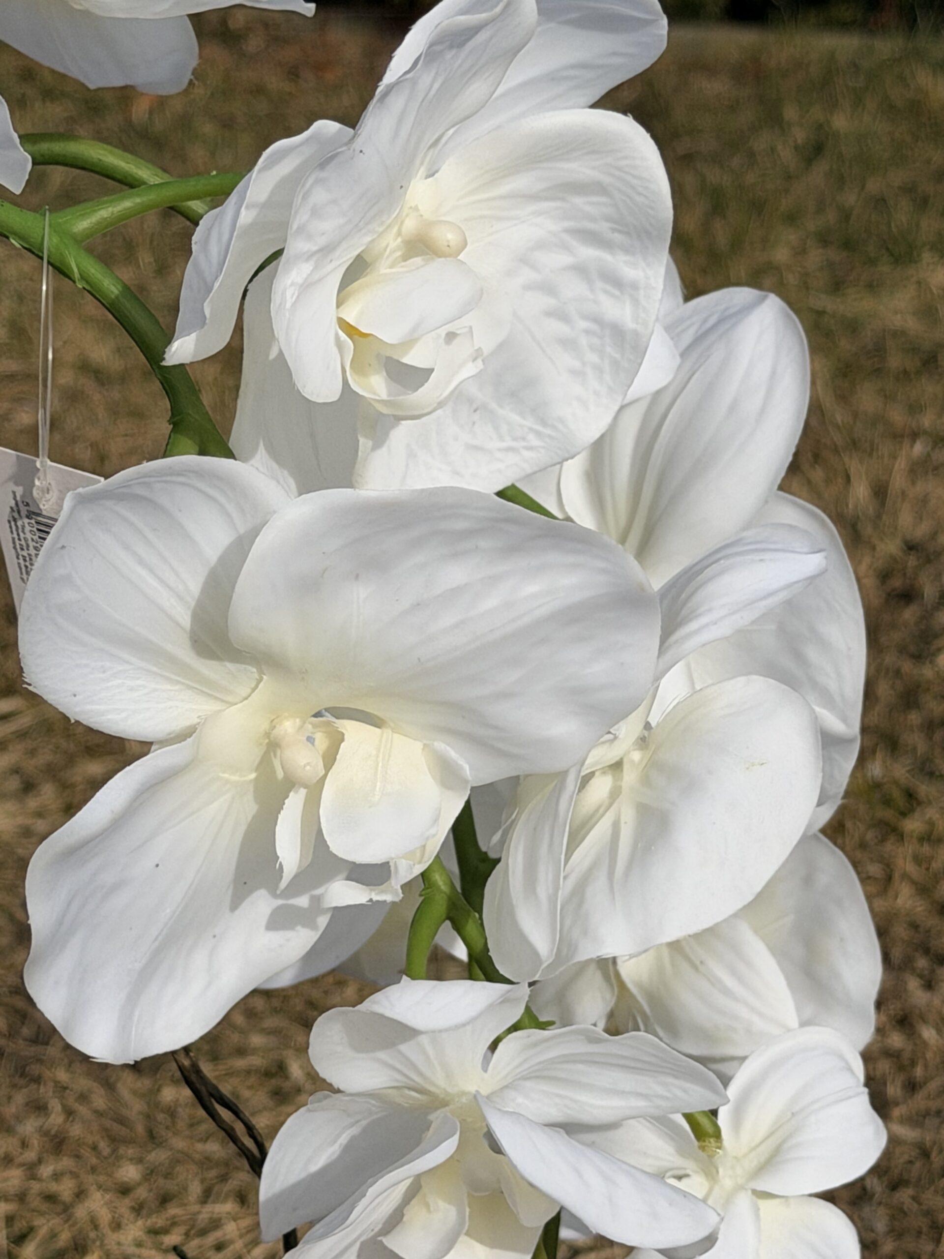 Elegancki storczyk dekoracyjny – jak żywy, 67 cm - obrazek 5
